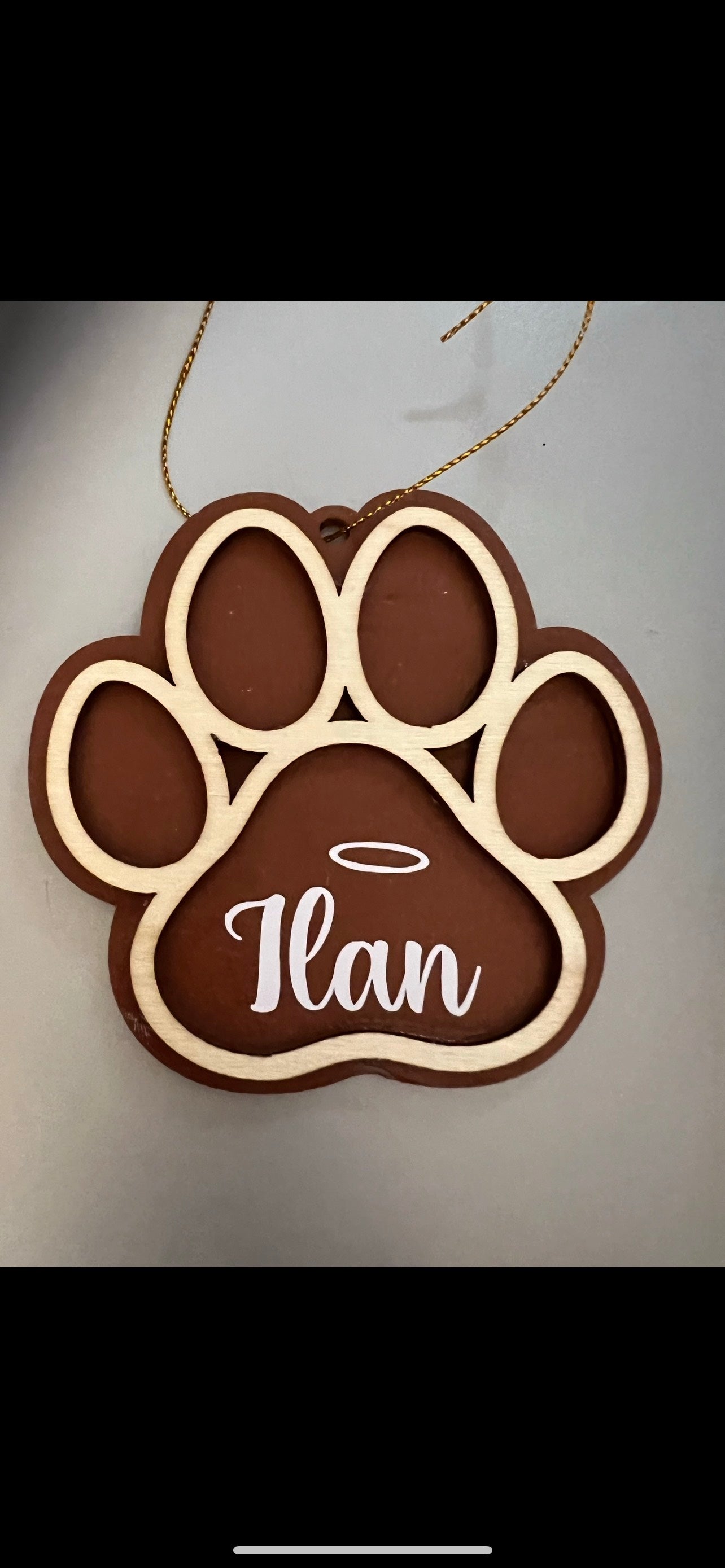 Patte Chien Bois